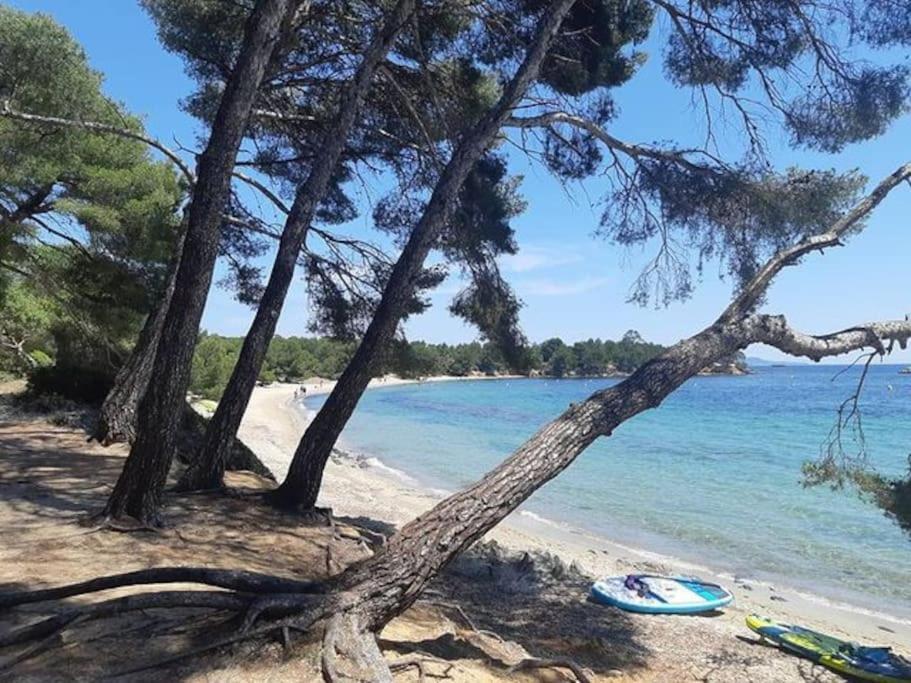 Studio Cabine Climatise 800 M De La Plage Et Des Commerces Борм-ле-Мімоза Екстер'єр фото