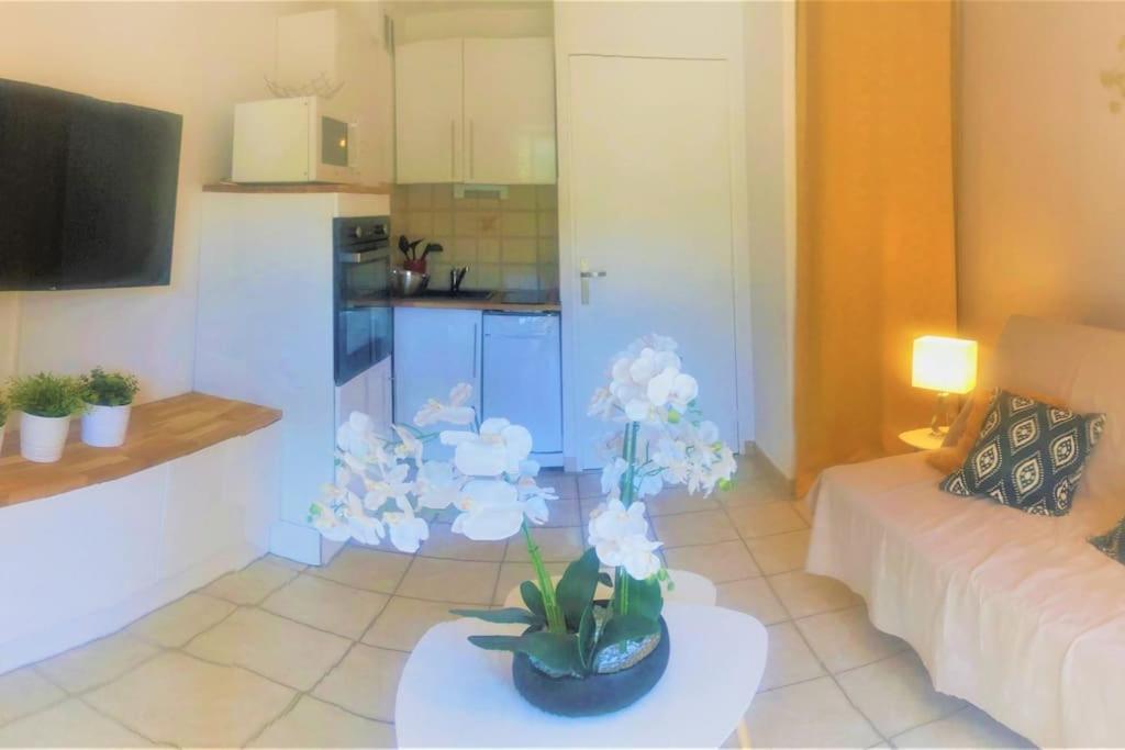 Studio Cabine Climatise 800 M De La Plage Et Des Commerces Борм-ле-Мімоза Екстер'єр фото
